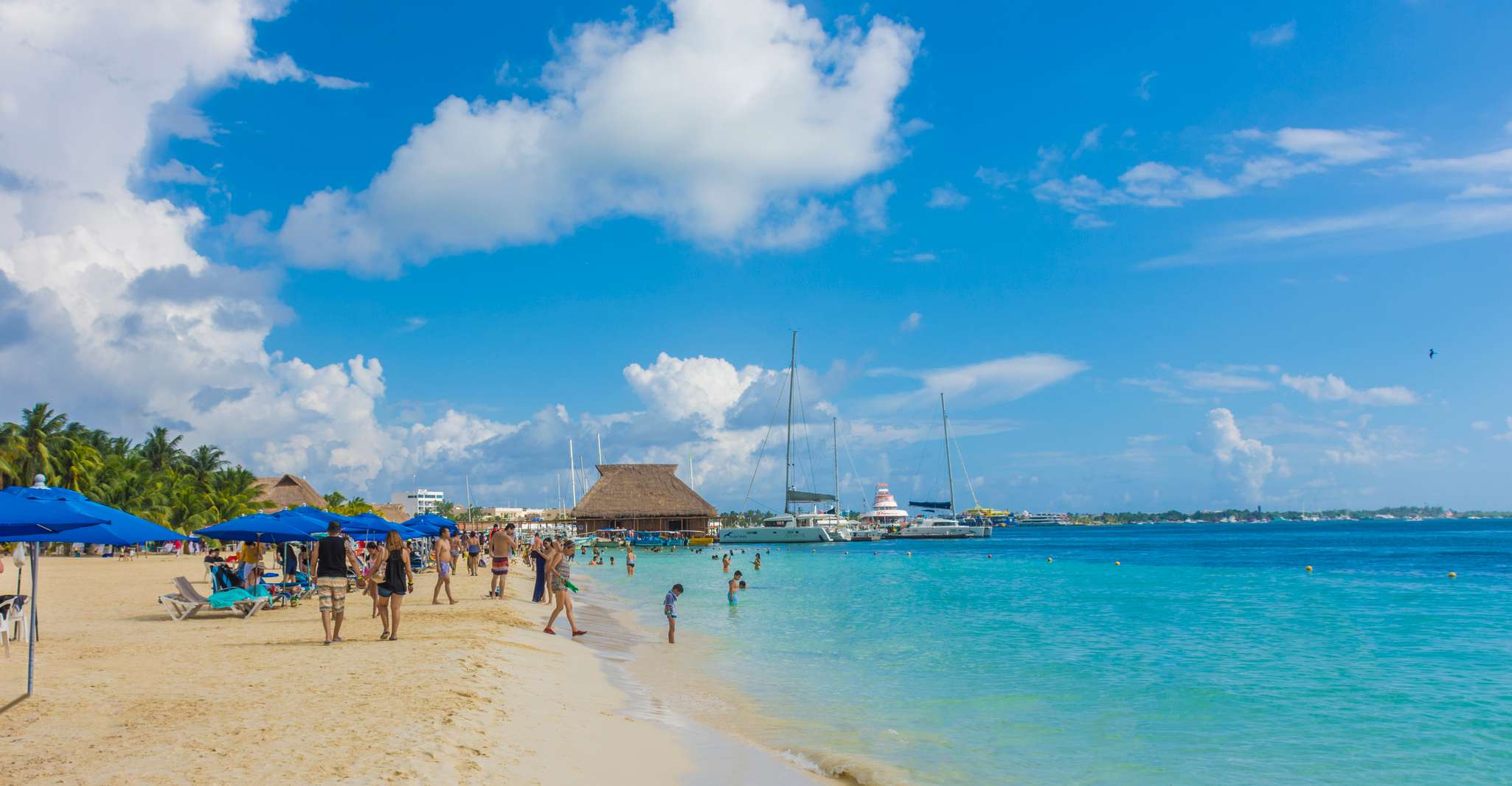 Voile d'une journée complète en catamaran luxueux à Isla Mujeres - Hizvo