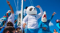 Voile d'une journée complète en catamaran luxueux à Isla Mujeres - Hizvo
