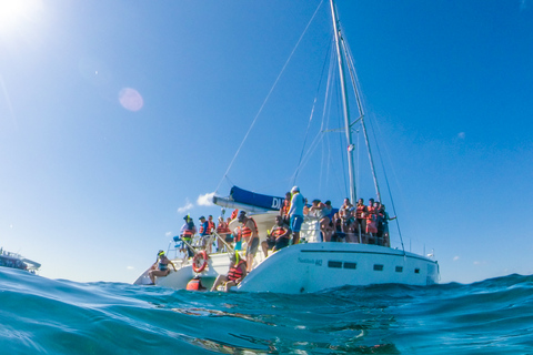 Full-Day Sail in Luxurious Catamaran to Isla Mujeres