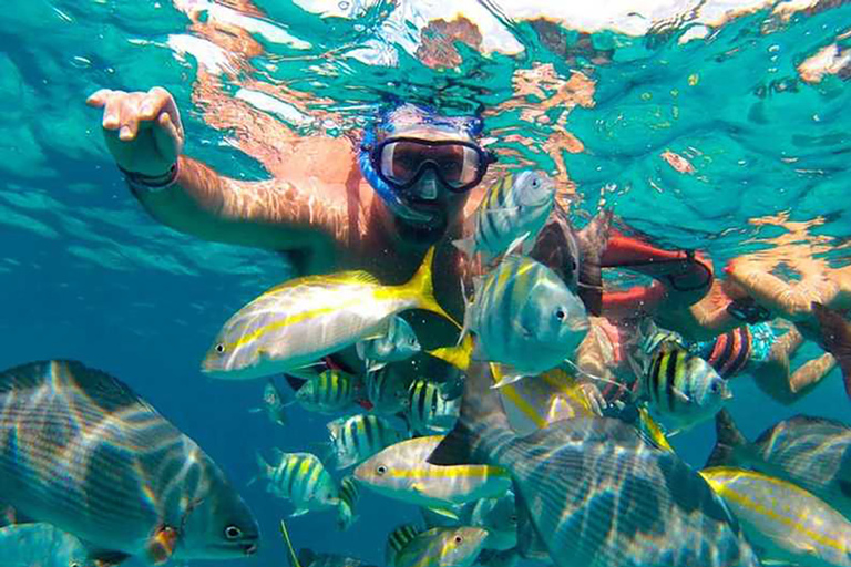 Isla Mujeres: Tagestour per Luxus-Katamaran