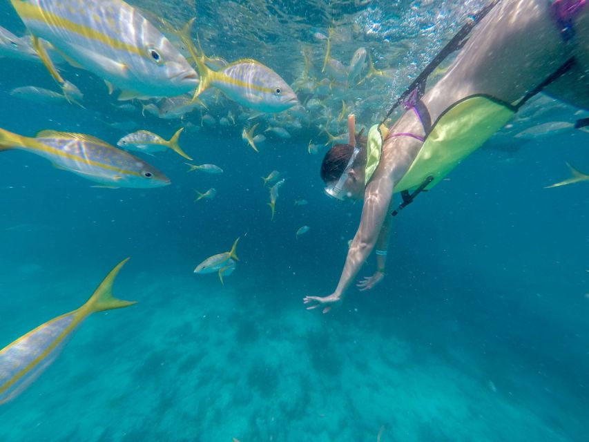  Key West: Catamaran Tour with Snorkeling & Water Activities 