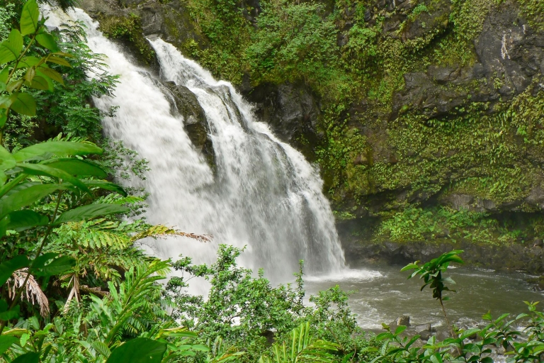 Kahului: Paseo guiado por la selva tropical y las cascadas