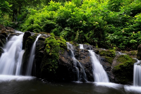 Kahului : Promenade guidée dans la forêt tropicale et les chutes d'eau