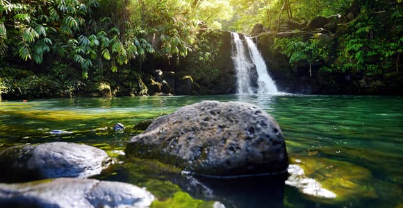 Maui: Guided Rainforest and Waterfall Walk & Swim