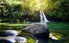 Kahului: Guided Rainforest and Waterfall Walk