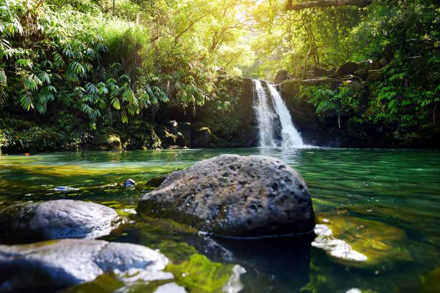 Kahului: Geführte Regenwald- und Wasserfallwanderung. Foto: GetYourGuide
