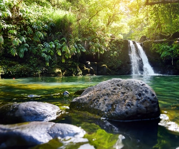 Kahului: Passeggiata guidata a piedi nella foresta pluviale e nelle cascate