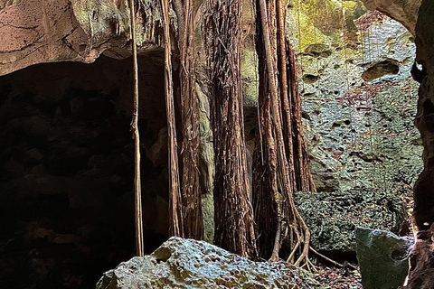 Visita y transporte a las cuevas de la Gruta VerdeDesde Falmouth/ Trelawny