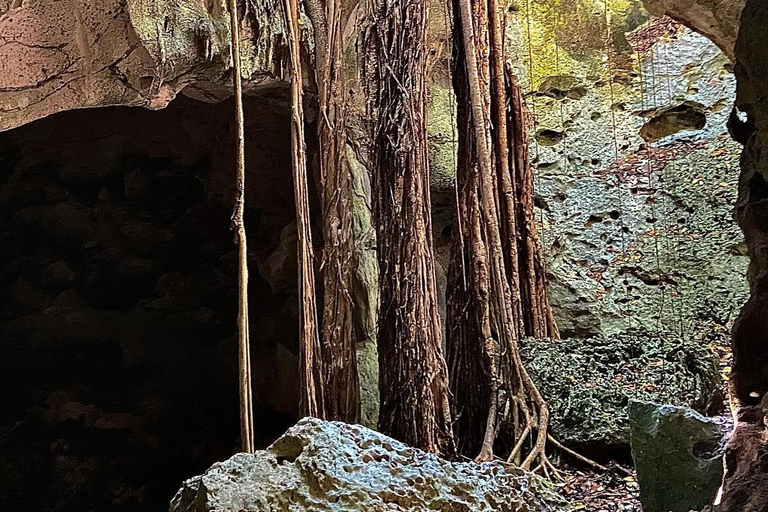 Visita y transporte a las cuevas de la Gruta VerdeDesde Falmouth/ Trelawny