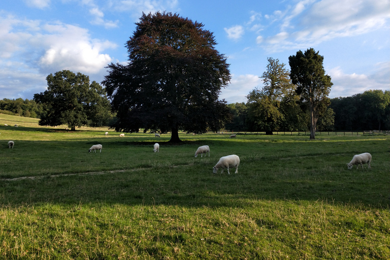 Cotswolds: Full-Day Electric Bike Tour