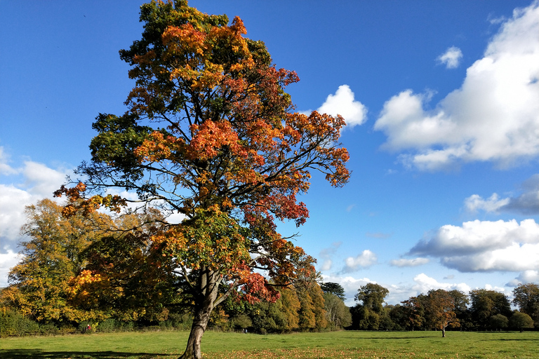 Cotswolds: Full-Day Electric Bike Tour