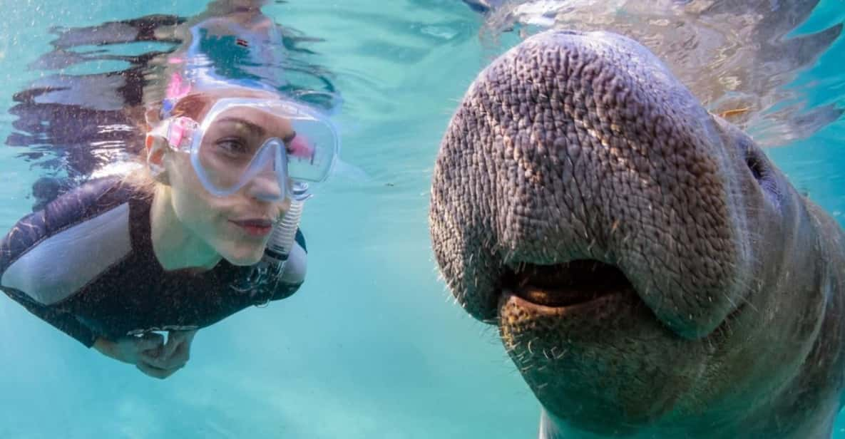 manatee boat tour orlando