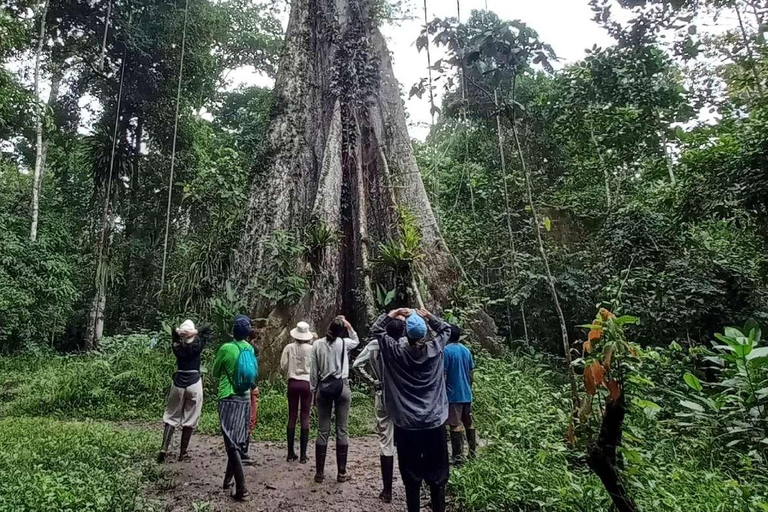 Iquitos : 4d3n Extreme Adventure Jungle Tour