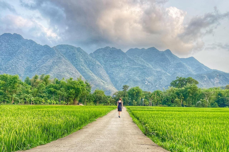 From Hanoi: Private Tour Ninh Binh Hoa Lu Trang An Mua Cave Private Tour Guide, Private Transfer and Flexible Time