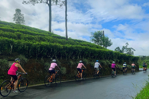 Sri Lanka 14-Day Small-Group Cycling Tour