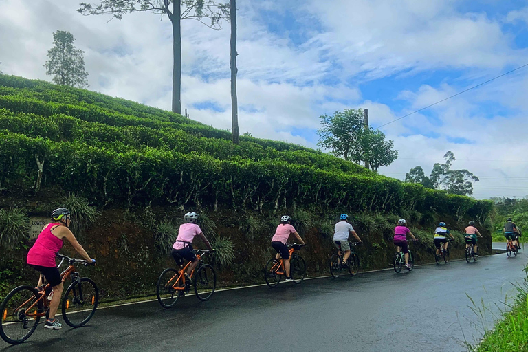 Sri Lanka 14-Day Small-Group Cycling Tour
