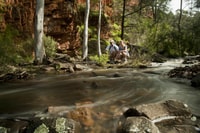 From Adelaide, 3-Day Flinders Ranges Small Group Eco Safari - Housity