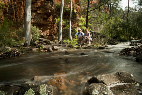 Von Adelaide aus: 3-tägige Flinders Ranges Kleingruppen-Öko-SafariEinzelne Standard-Motel-Einheit