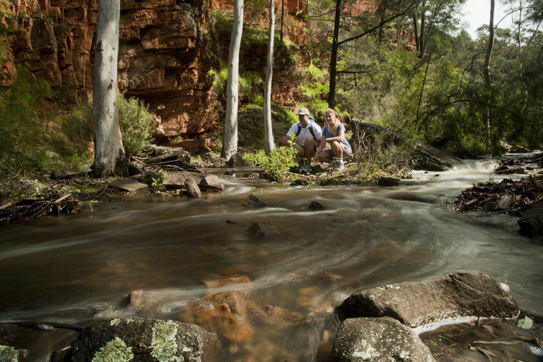 Z Adelajdy: 3-dniowe safari Flinders Ranges w małej grupiePojedyncza standardowa jednostka motelowa