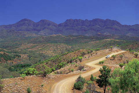 Van Adelaide: 3-daagse Flinders Ranges ecosafari voor kleine groepenEenpersoons Standaard Motel-eenheid