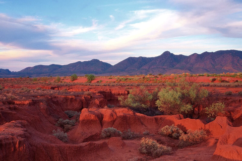 From Adelaide: 3-Day Flinders Ranges Small Group Eco SafariSuperior Motel Unit, Single