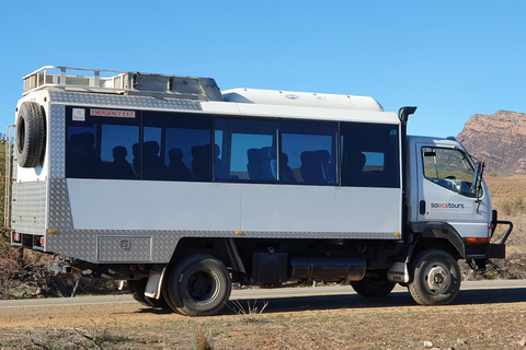 Z Adelajdy: 3-dniowe safari Flinders Ranges w małej grupiePojedyncza standardowa jednostka motelowa