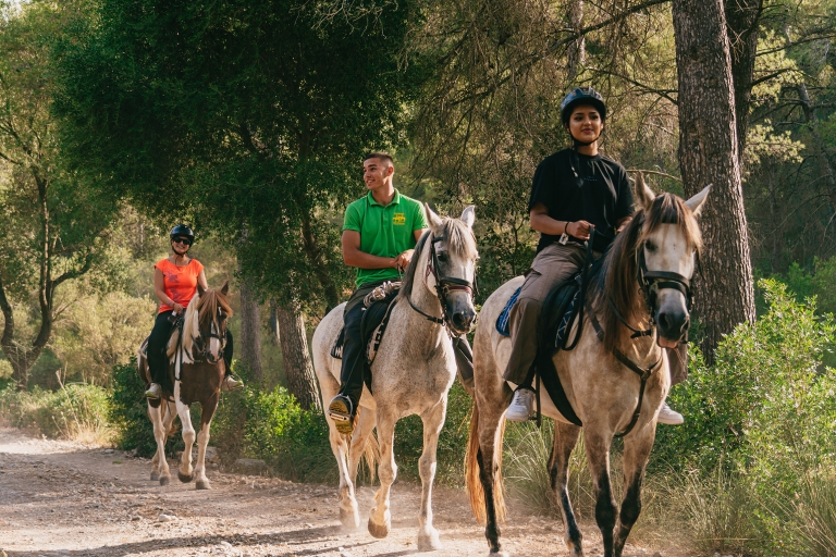 Mallorca: Mountain Horse Riding Experience met brunchoptiePaardrijtocht van 1 uur met brunch en ophalen