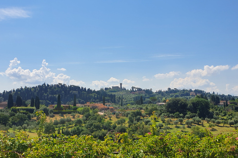 Pitti Palace and Boboli Gardens Private Tour