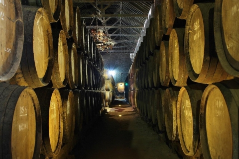 Lizbona Prywatna degustacja wina w regionie SetúbalWycieczka po niemiecku