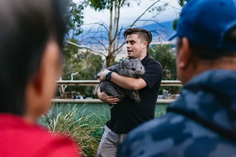 Bonorong Wildlife Sanctuary Half-Day Tour from Hobart