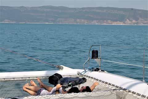 Full-Day Dolphin Watching Tour from Lisbon