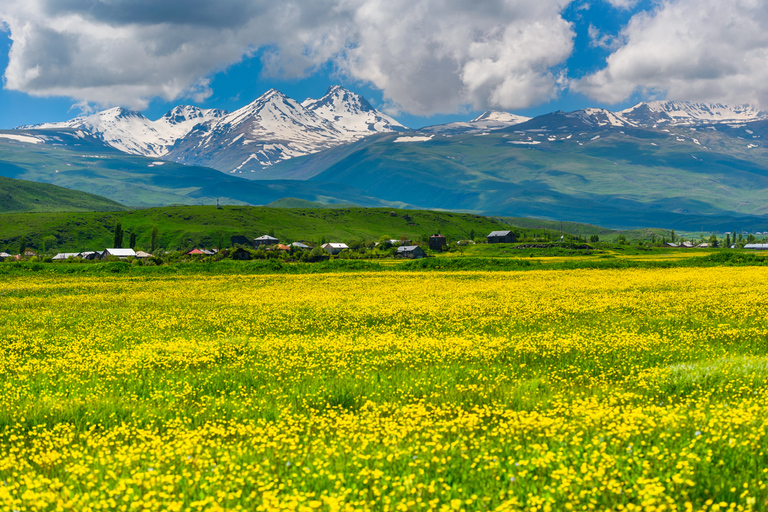 Armenia: Amberd Fortress and Lake Kari, Aragats Mountain Option with Guide Service