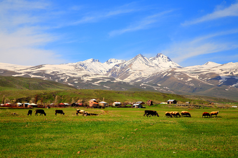 Armenia: Amberd Fortress and Lake Kari, Aragats Mountain Option with Guide Service