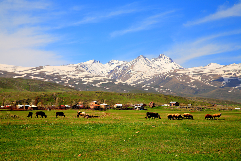 Armenia: Amberd Fortress and Lake Kari, Aragats Mountain Option with Guide Service