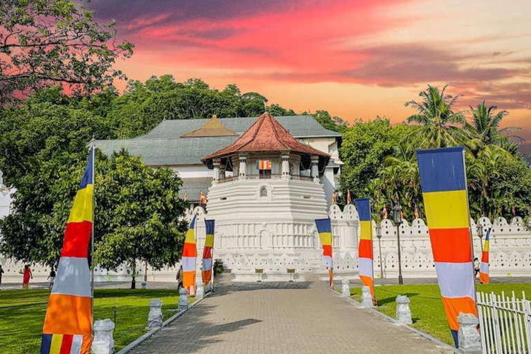 Sigiriya nach Kandy Privattransfer im bequemen Auto oder Van