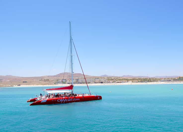Caleta de Fuste Catamaran Sailing Experience GetYourGuide