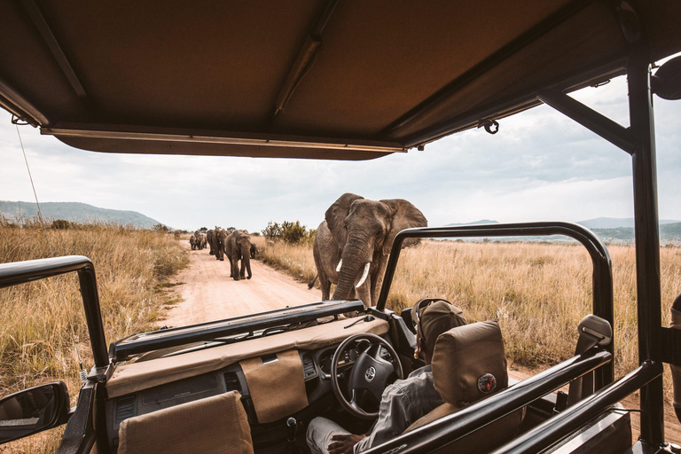 5 Dagen Tanzania Groepsreis