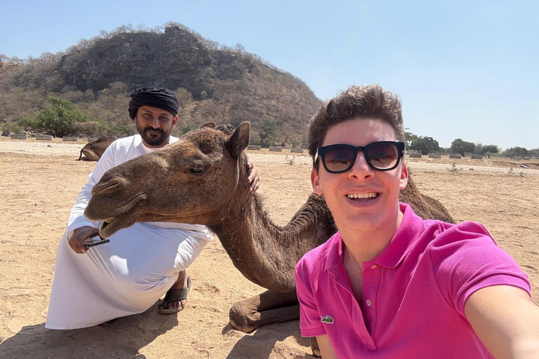 East Salalah Guided: Wadi Darbat & The ancient Baobab Tree