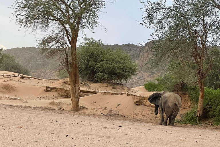 Namibia 14-dniowa wyprawa przygodowa