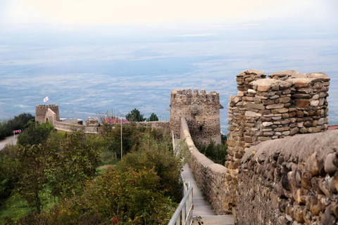 From Tbilisi Signaghi Bodbe and Wineries GroupGuided Kakheti