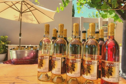 Camp Verde: jeeptour en wijnproeverij
