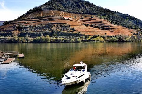 Douro Valley: Premium Wine Tasting and Boat Trip with Lunch