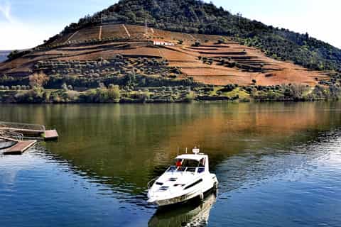 Valle del Douro: degustazione di vini premium e gita in barca con pranzo