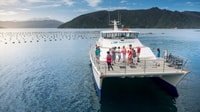 Picton e Marlborough Sounds, Seafood Odyssea Cruise - Hizvo