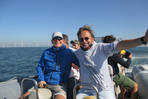 Blankenberge: Offshore Wind Farm Tour by Boat