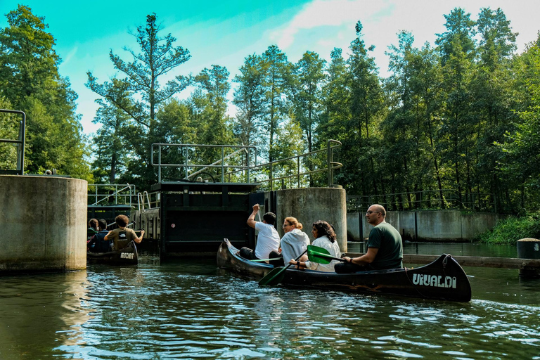 From Berlin: Spreewald Canoe or Kayak Tour with Guide