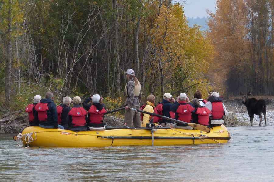 Jackson: Snake River Scenic Raft Trip. Foto: GetYourGuide