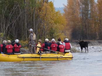Jackson: Rafting-Tour auf dem Snake River Jackson: Rafting-Tour auf dem Snake River