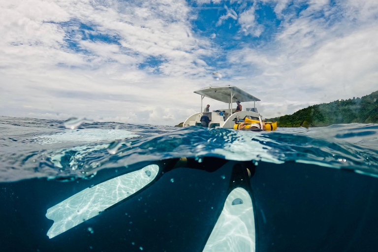 Railay: AIDA 1 or 2 Days Discover Freediving Courses AIDA: 2 Days Discover Freediving Course (Pool & Open water)