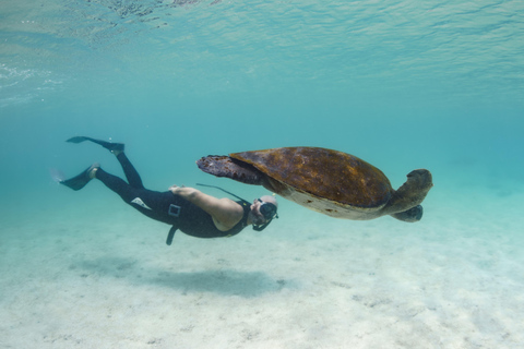 Die Insel Pinzón: Schnorcheln, Fischen und Entspannen im Paradies